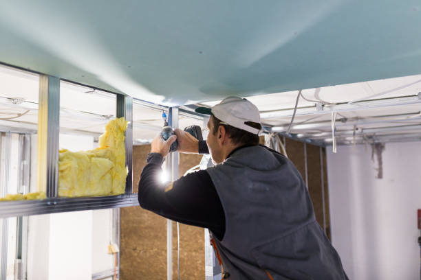 Best Commercial Insulation Contractor  in New Waverly, TX