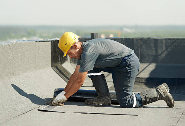 Best Best Insulation Companies  in New Waverly, TX