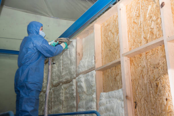 Best Attic Insulation Installation  in New Waverly, TX