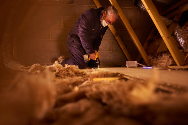 Best Insulation Contractors for Homes  in New Waverly, TX